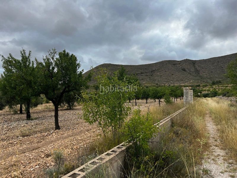 Foto 0726d041-6d76-4586-a081-54029f2af49c. Finca rústica a La Murada - Los Vicentes Orihuela