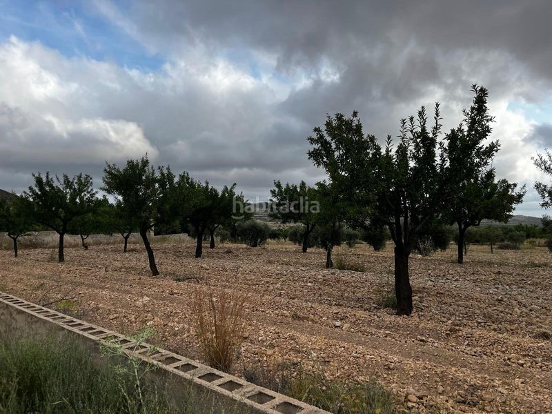 Foto 2de7ce39-1918-4de1-a5d9-7fc4ff87f93e. Finca rústica a La Murada - Los Vicentes Orihuela