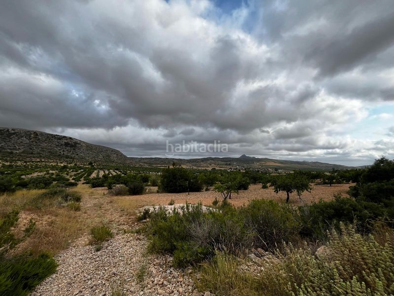 Foto 64b2d31d-080f-4a7f-9e37-62848066b8da. Finca rústica a La Murada - Los Vicentes Orihuela