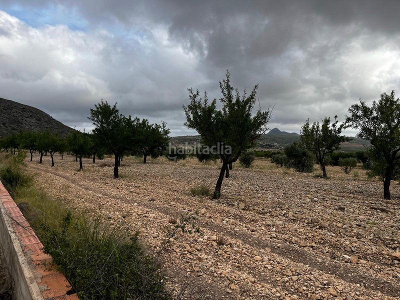 Foto 8af980e0-a7c5-4868-b7fc-18807388506f. Finca rústica a La Murada - Los Vicentes Orihuela