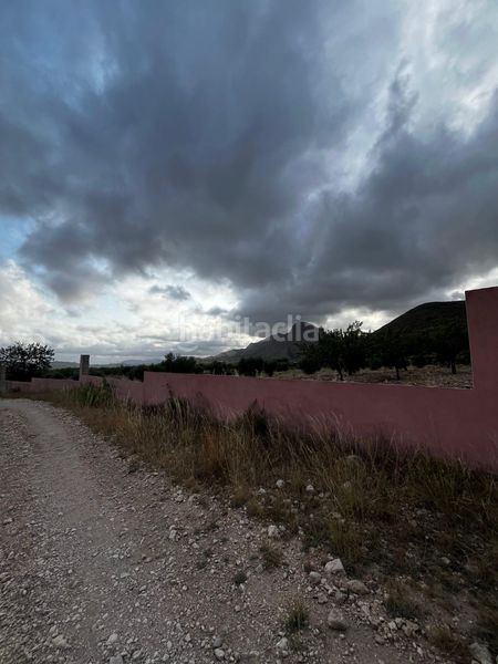 Foto a498544c-9756-400d-93e2-027a25e1d05d. Finca rústica a La Murada - Los Vicentes Orihuela