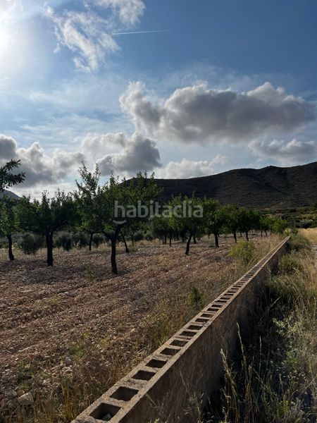 Foto f91d6aa4-8496-4423-bd64-f8db4e54ebb4. Finca rústica a La Murada - Los Vicentes Orihuela