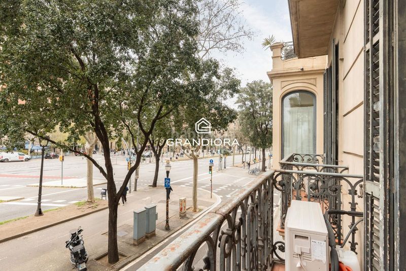 Foto a12f3887-e18d-441d-bdbf-6c9170a250c3. Pis a Dreta de l´Eixample Barcelona
