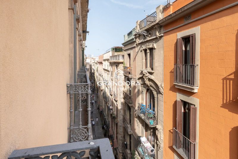 Foto a5944a91-8a8e-48c9-9b35-513f1059d691. Lloguer pis a Raval Barcelona