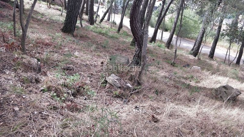 Foto 2062bd91-4400-4914-906d-5726f2477f82. Terreny residencial a Airesol Castellar del Vallès