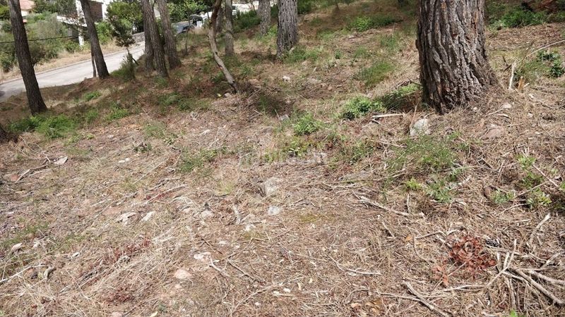 Foto cb396a19-6449-437e-ad3e-aafa5f08edbc. Terreny residencial a Airesol Castellar del Vallès