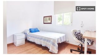 Rent Flat in El Plantinar - Avda. La Paz - El Juncal. Se alquila habitación en piso de 3 habitaciones en sevilla