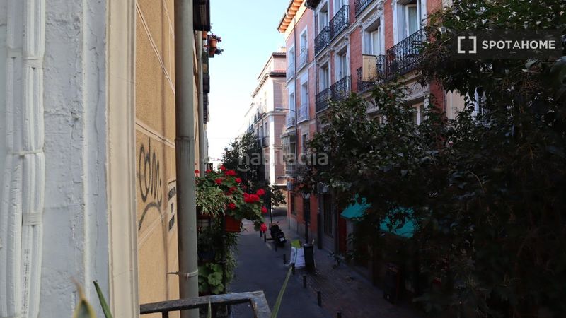 Foto 969fb77f-5e72-4bf6-a0a0-8d2d8856d6d4. Rent flat with heating in Universidad-Malasaña Madrid