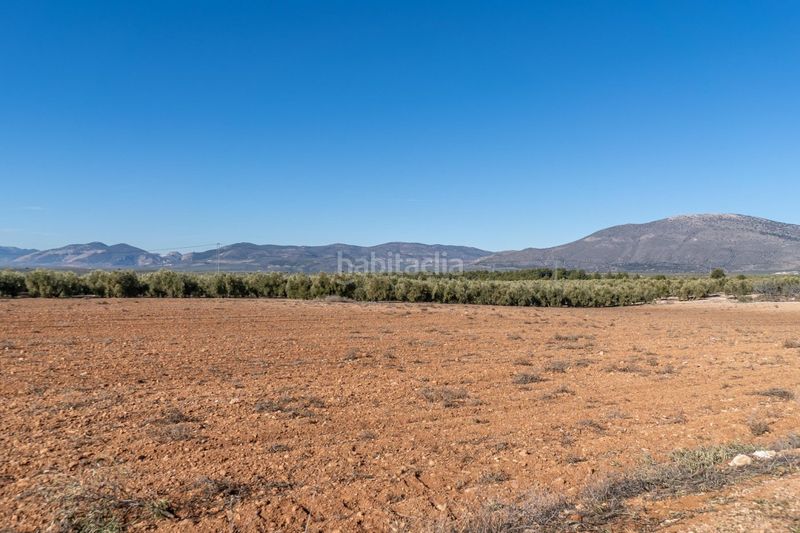 Foto 010a60d5-f3be-454c-9fe2-60df8a8f4399. Landgut in Cogollos de la Vega