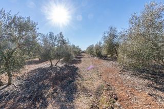 Rural plot  Pago cortijo de las monjas. Oportunidad de finca rustica junto pantano de cubillas
