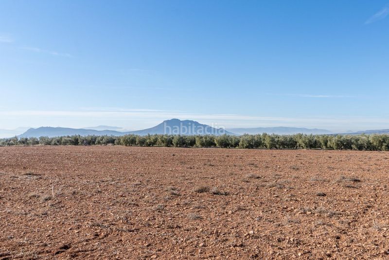Foto b884a1a2-8711-4180-bba4-c9c6d33c25b7. Landgut in Cogollos de la Vega