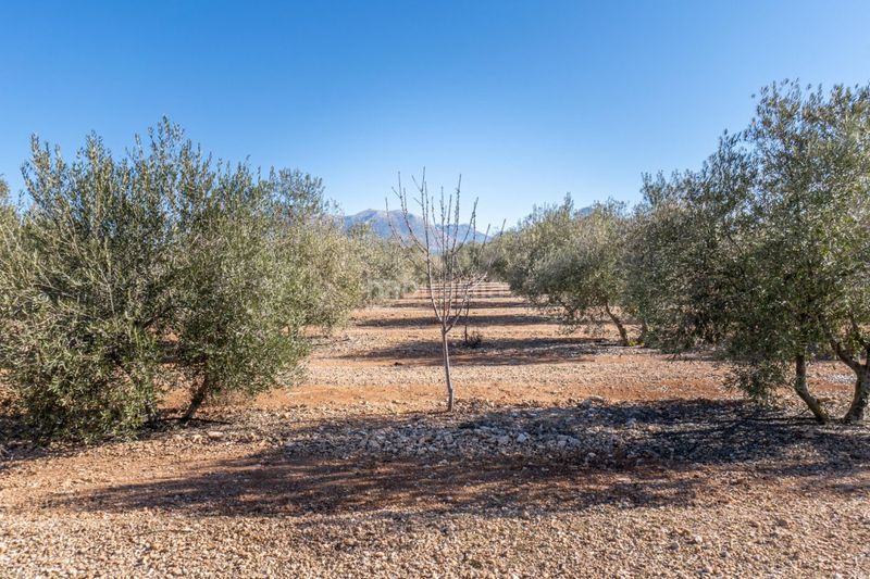 Foto ed7e2492-191c-4ce0-aa37-7745ac8a9a05. Landgut in Cogollos de la Vega