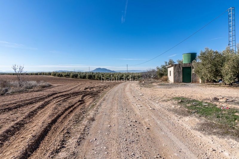 Foto fb3bdb36-687d-4702-865a-1dc0de10e6b0. Landgut in Cogollos de la Vega