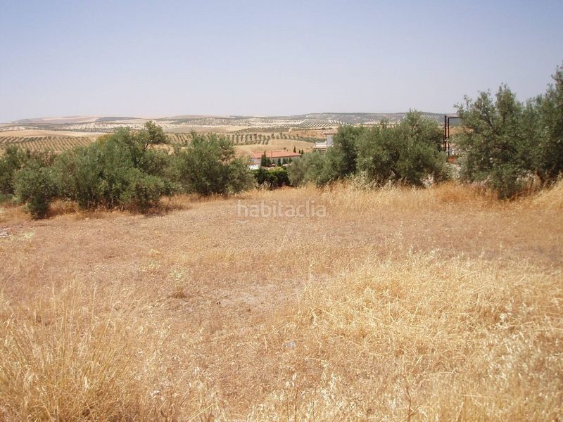 Foto ac4c6a81-f501-4604-8260-c24c62bfba61. Finca rústica a calle calle río guadalquivir a Aljomahima - Ermita Gabias (Las)