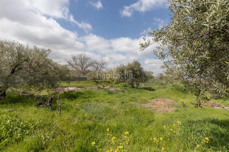 Foto 0fc77861-6477-4285-992d-9f3f84de2b78. Casa  de campo y terreno rústico en Gójar