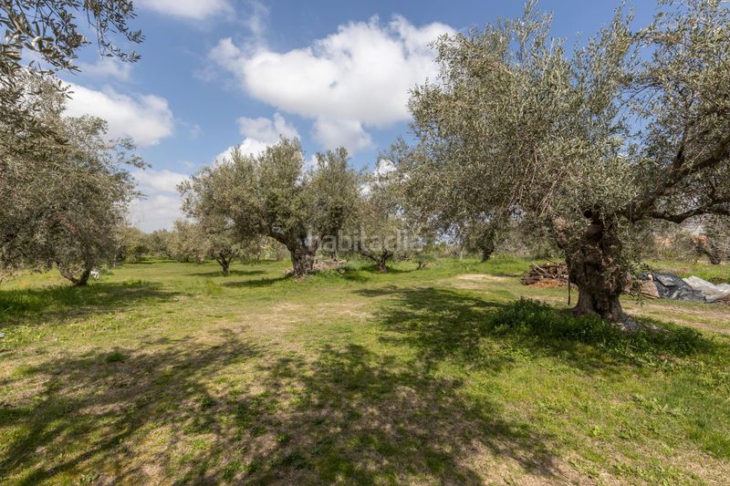 Foto b9bf5262-3eab-41a6-8641-a0c2360cf2ba. Casa  de campo y terreno rústico en Gójar