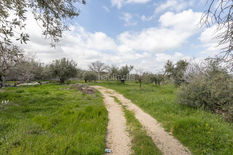 Foto ba2fb34e-5862-41dc-a14c-1261608e7a83. Casa  de campo y terreno rústico en Gójar