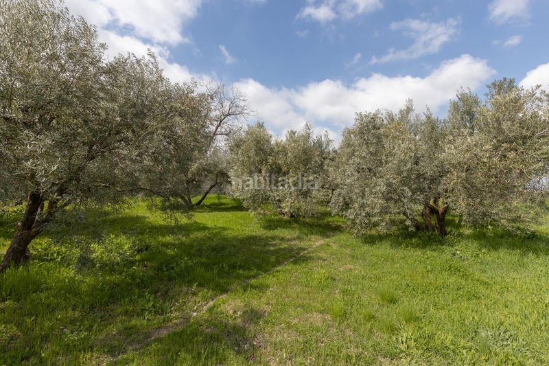 Foto ec5ab6dd-6700-4423-91f4-23fd5b096ce0. Casa  de campo y terreno rústico en Gójar