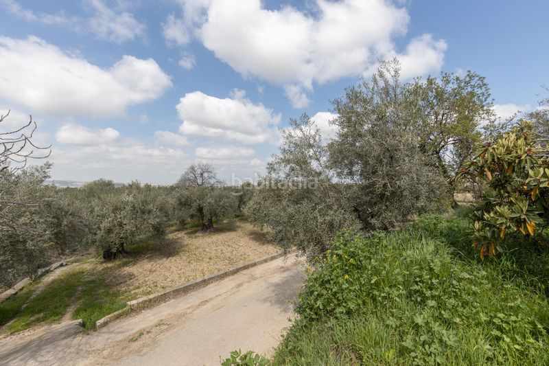 Foto f898d192-9798-425d-a661-de0ff851f1d7. Casa  de campo y terreno rústico en Gójar