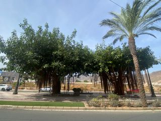 Reihenhaus in El Parador de las Hortichuelas. Triplex seminuevo