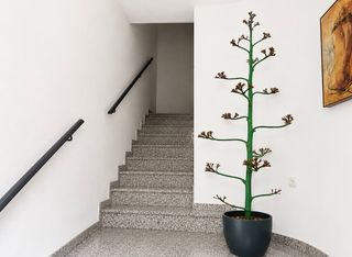 Casa adossada  Calle ponferrada. Triplex seminuevo