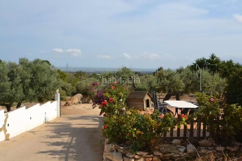 Foto 5558b6b3-8e5f-4ecf-a925-d22098958459. Masia amb aparcament piscina a Perelló (El)