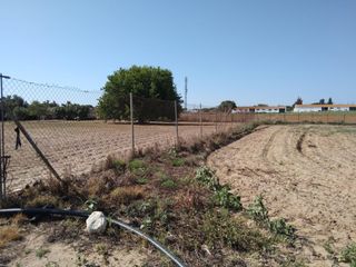 Terreny residencial a Pelagatos - Pago del Humo. Parcela indivisa de  3.000m2 en pago de humo