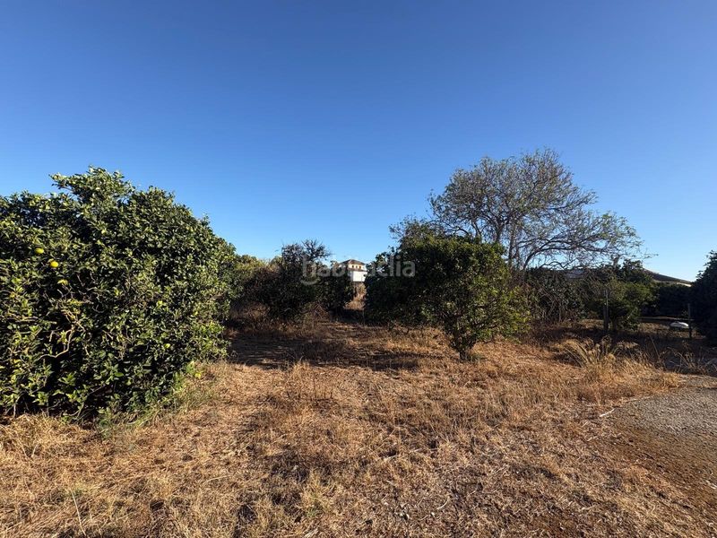 Foto 562e29e9-24a1-4c57-a589-a36a858dce82. Casa amb piscina a Los Franceses - La Vega Chiclana de la Frontera