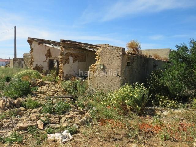 Foto 36abbee4-135d-4752-9030-bc83667de104. Finca rústica a Barrio Nuevo Conil de la Frontera