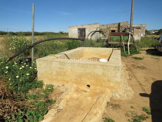 Foto 397bf9c6-840a-4a27-a0dd-dab62a8fdea1. Finca rústica a Barrio Nuevo Conil de la Frontera
