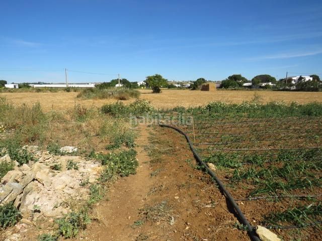 Foto 52a5c1f0-a35e-4f40-9dc1-1fb4d4ea1f67. Finca rústica a Barrio Nuevo Conil de la Frontera