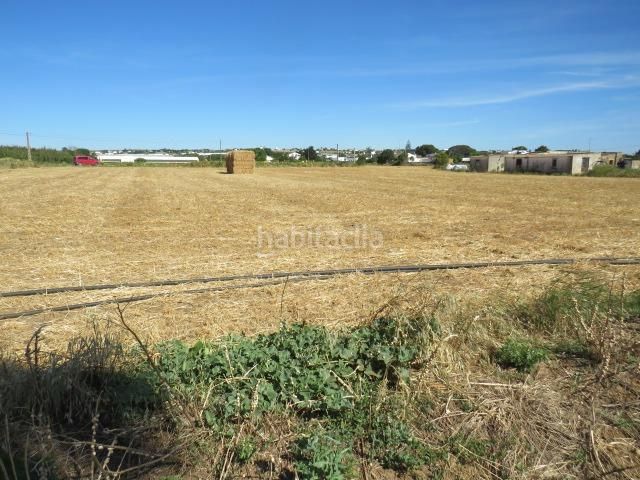 Foto 52e4c6e8-75d1-4dd4-8fba-b5151df85783. Finca rústica a Barrio Nuevo Conil de la Frontera