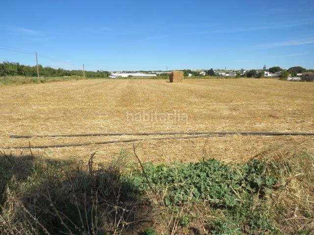 Foto 6175e11b-3d33-4dab-a435-e5af3f491da4. Finca rústica a Barrio Nuevo Conil de la Frontera