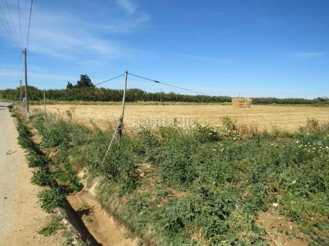 Foto 89dd7ca0-6fcf-4140-bbb3-06b32ead9a7c. Finca rústica a Barrio Nuevo Conil de la Frontera