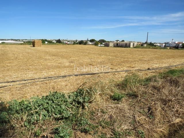 Foto be45dd9b-6ce0-49c3-9a73-0313499dc2d8. Finca rústica a Barrio Nuevo Conil de la Frontera