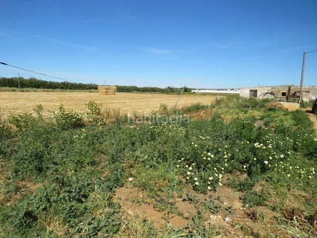 Foto cb2cddb3-626a-4bd4-8308-ab8e0330110b. Finca rústica a Barrio Nuevo Conil de la Frontera