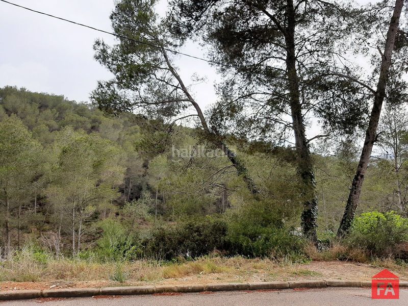 Foto 9b65d2f7-c781-4b8b-8dde-3990d4dfa0ec. Finca rústica a Bisbal del Penedès (La)