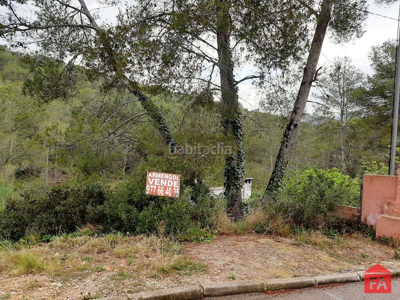 Foto aebf29b8-394d-4e14-92ca-7dbe31f1226e. Finca rústica a Bisbal del Penedès (La)