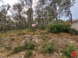 Terreny residencial a Bisbal del Penedès (La). Parcela urbana de 909 m2 aprox., en urbanización tranquila próxi