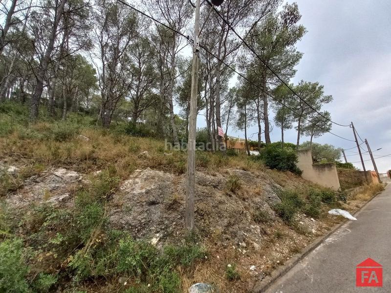 Foto 2210b4b3-fc03-42b9-9dcb-508172ea3ebe. Terreny residencial a Bisbal del Penedès (La)