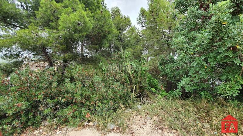 Foto 678c79ef-a5be-4b67-8990-12c944c430f3. Finca rústica a Bisbal del Penedès (La)