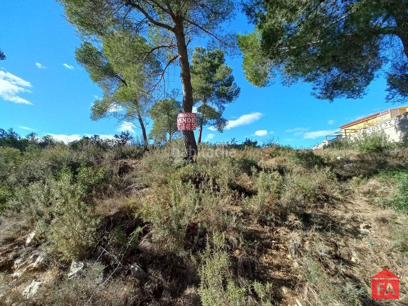 Foto 09d444bc-3ffb-4289-99e6-23aa2f9866fc. Finca rústica a Bisbal del Penedès (La)