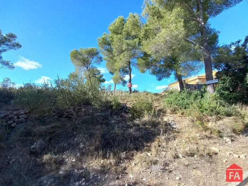 Foto 41286c85-546f-4408-a6df-11eedb51efd8. Finca rústica a Bisbal del Penedès (La)