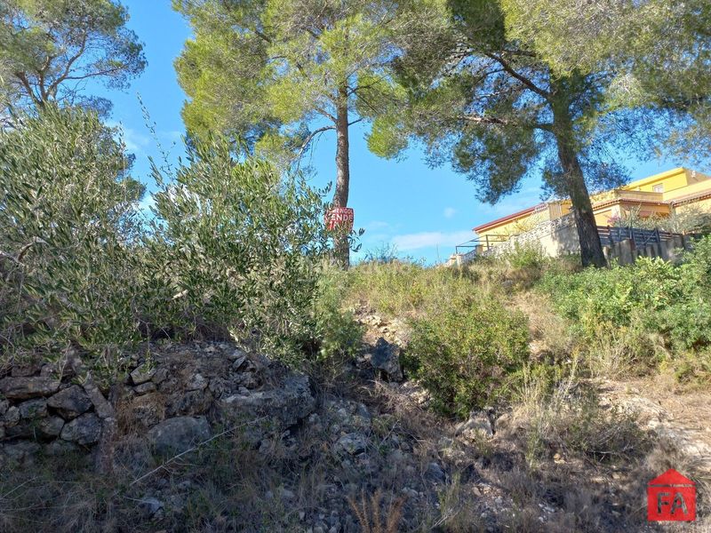 Foto a6a853db-a161-4595-9716-bdd0b22890bb. Finca rústica a Bisbal del Penedès (La)