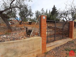 Finca rústica a Bisbal del Penedès (La). 101917 priorat de la bisbal, parcela urbana muy céntrica