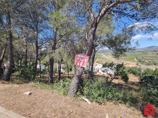 Rural plot in Bisbal del Penedès (La). 101921 can gordei, parcelas urbanas en venta