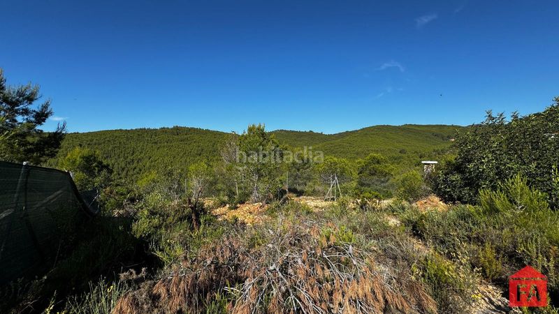 Foto 5df457d2-53b8-4637-b8ba-1c17534962f2. Finca rústica a Bisbal del Penedès (La)
