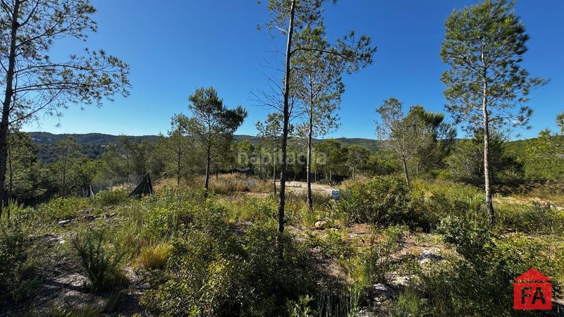 Foto df2a7436-f8b6-4d4d-8ecb-31dc2f83d57e. Finca rústica a Bisbal del Penedès (La)