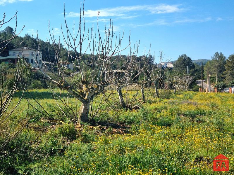 Foto 077ec9d3-46cd-4971-86be-f3d83449c114. Finca rústica a Bisbal del Penedès (La)