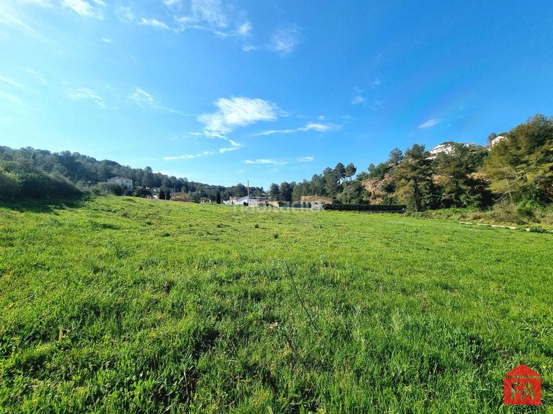 Foto 393f4327-bc32-40ee-ae06-d62df9104607. Finca rústica a Bisbal del Penedès (La)